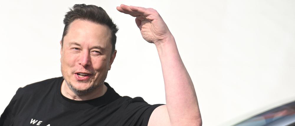 Elon Musk hat schon mehrfach Wahlwerbung für die AfD betrieben.