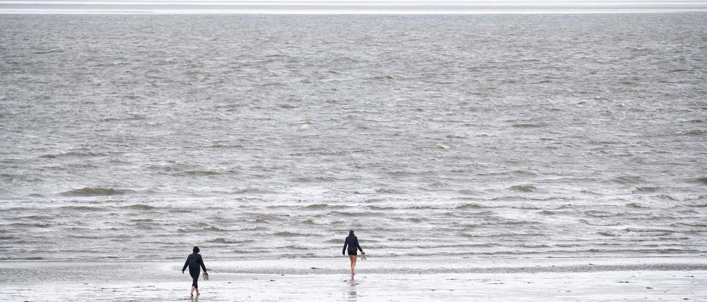 Das Bundesamt für Seeschifffahrt und Hydrographie hat für Nord- und Ostsee überdurchschnittlich hohe Temperaturen des Oberflächenwassers ermittelt.