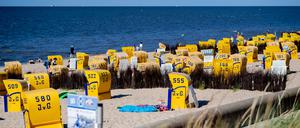 Zahlreiche Strandkörbe stehen bei sonnigem Wetter an einem Strandabschnitt in Cuxhaven