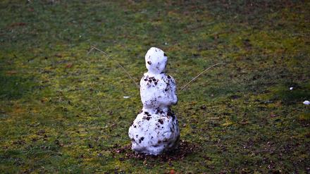 Ein kleiner Schneemann steht auf einer grünen Wiese.