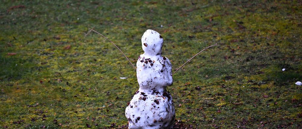 Ein kleiner Schneemann steht auf einer grünen Wiese.