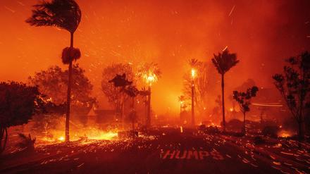 In der Feuerzone haben viele Hollywoodstars Villen. 