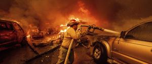 Ein Feuerwehrmann kämpft in Altadena gegen das Eaton-Feuer.