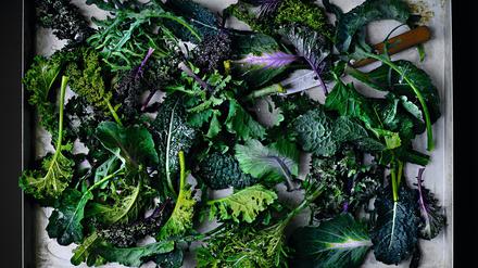 Evergreen: Wenn nichts mehr wächst, wächst meistens noch Kohl. 