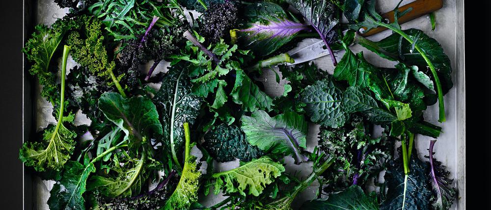 Evergreen: Wenn nichts mehr wächst, wächst meistens noch Kohl. 
