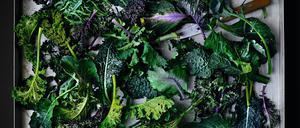 Evergreen: Wenn nichts mehr wächst, wächst meistens noch Kohl. 
