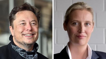 Ein Gespräch zwischen Tech-Milliardär Elon Musk der AfD-kanzlerkandidatin Alice Weidel wird am Donnerstag auf Musks