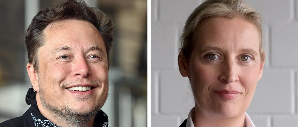 Ein Gespräch zwischen Tech-Milliardär Elon Musk der AfD-kanzlerkandidatin Alice Weidel wird am Donnerstag auf Musks