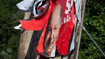 Ein zerfetztes Wahlplakat der SPD mit Bundeskanzler Scholz hängt an einer Ausfallstraße. 