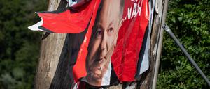 Ein zerfetztes Wahlplakat der SPD mit Bundeskanzler Scholz hängt an einer Ausfallstraße.