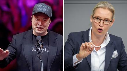 Tech-Milliardär Elon Musk (Archivfoto vom 27.10.2024) und Alice Weidel, AfD-Vorsitzende (Archivfoto vom 13.11.2024)