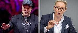 Tech-Milliardär Elon Musk (Archivfoto vom 27.10.2024) und Alice Weidel, AfD-Vorsitzende (Archivfoto vom 13.11.2024)