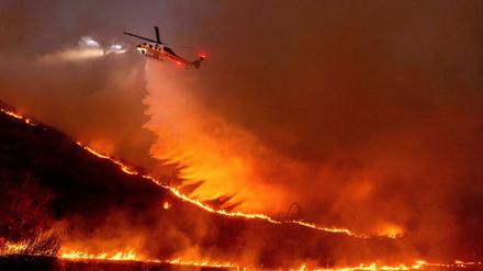 Das Flammeninferno wütet weiter ungebremst - angetrieben von starken Winden.