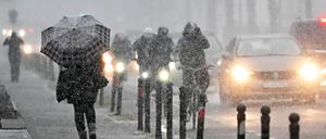 Potsdam erwarten ein paar Zentimeter Schnee und Kälte in den kommenden Tagen.