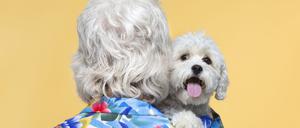 Sogar in der Frisur gleichen sich Hundehalter und ihre Tiere oft an.