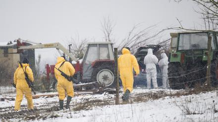 10.01.2025, Brandenburg, Hoppegarten: Männer in Schutzkleidung gehen zu einem Stall im Landkreis Märkisch-Oderland. In dem Kreis gibt es Fälle von Maul- und Klauenseuche. Foto: Sebastian Christoph Gollnow/dpa +++ dpa-Bildfunk +++