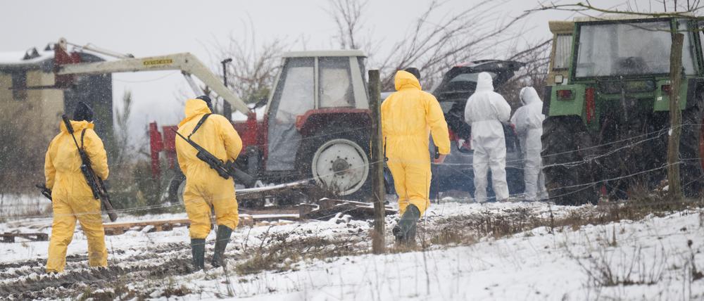 10.01.2025, Brandenburg, Hoppegarten: Männer in Schutzkleidung gehen zu einem Stall im Landkreis Märkisch-Oderland. In dem Kreis gibt es Fälle von Maul- und Klauenseuche. Foto: Sebastian Christoph Gollnow/dpa +++ dpa-Bildfunk +++