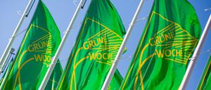 Von der Maul- und Klauenseuche ist auch die Grüne Woche in Berlin betroffen: Es werden unter anderem keine Rinder und Schafe vor Ort sein. (Archivbild)