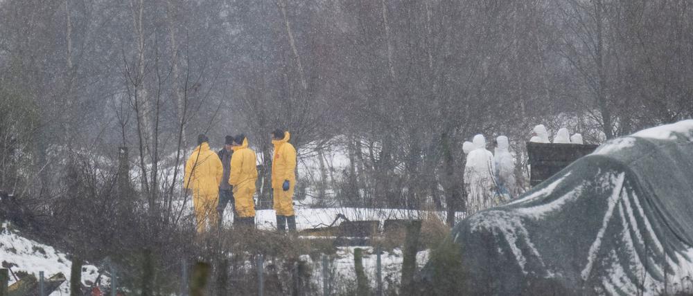 Nach dem Ausbruch der Maul- und Klauenseuche wurde zunächst eine Wasserbüffel- Herde getötet. Fachleute waren im brandenburgischen Landkreis Märkisch-Oderland im Einsatz.