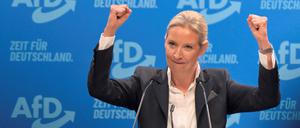 Alice Weidel ist die Kanzlerkandidatin der AfD.