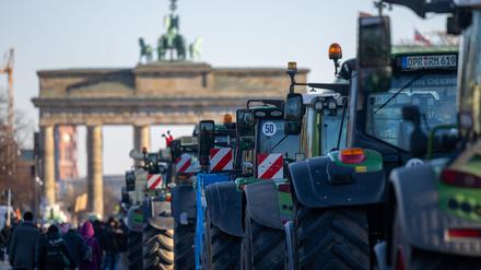 Ein Jahr nach Nach den großen Protesten 