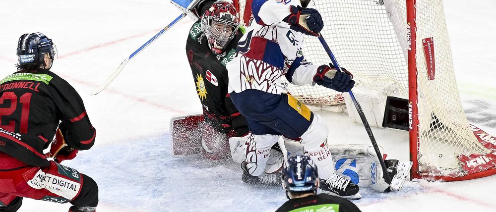 Die Eisbären verspielten gegen Düsseldorf noch die Führung.