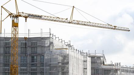 Der Wohnungsbau braucht nach Ansicht des Bundesverbands Baustoff-Fachhandel wieder verlässliche Bedingungen. (Archivbild)