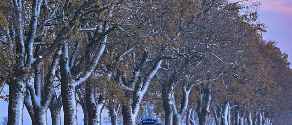Nach Frost wird es laut Vorhersage des Deutschen Wetterdienstes in Berlin und Brandenburg gegen Wochenmitte deutlich milder. Dabei wird es zeitweise gefährlich glatt. (Symbolbild) 