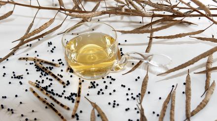 Rapssamen und Rapsöl *** Rape seed and Rapeseed oil 1033004320