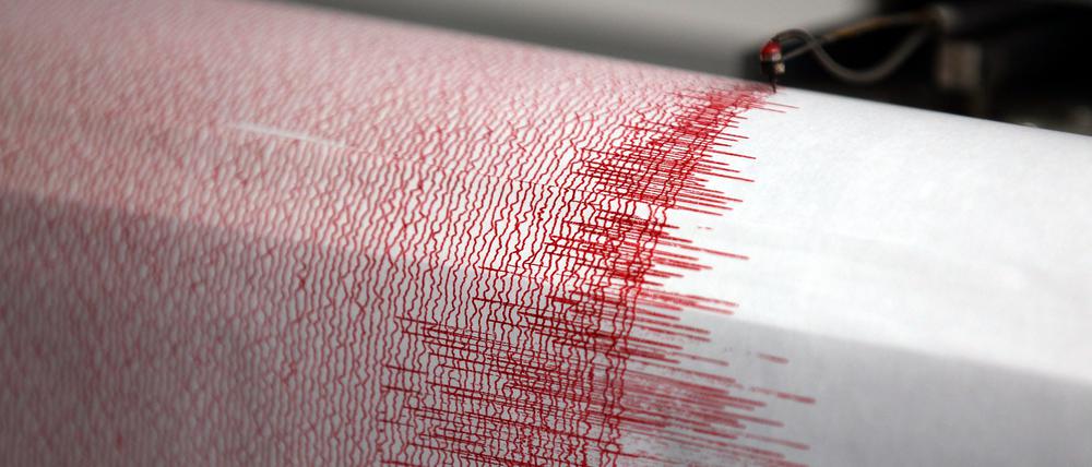 Ein Seismograf verzeichnet Ausschläge durch Erderschütterungen (Symbolbild).