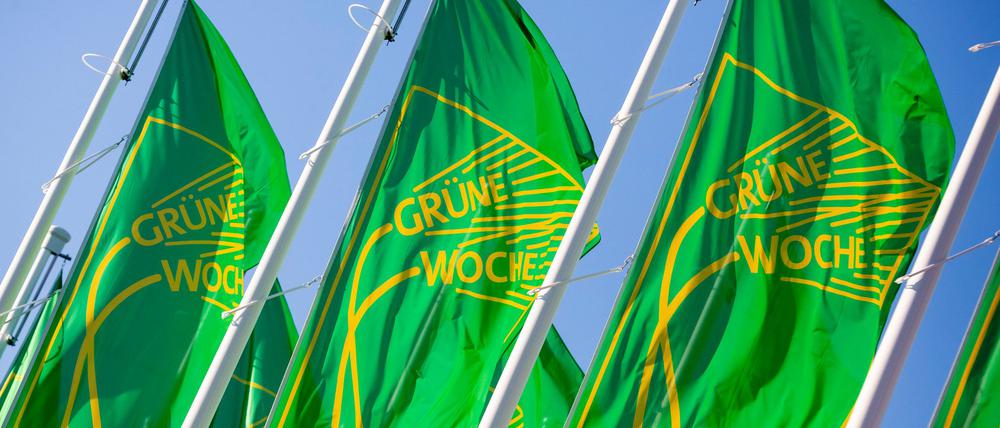 Paarhufer gibt es wegen der Maul- und Klauenseuche in diesem Jahr nicht auf der Grünen Woche zu sehen. (Archivbild)