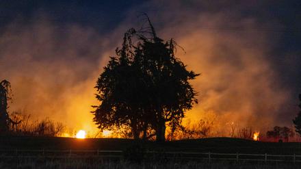 Feuer am 14. Januar in Ventura, Kalifornien. 
