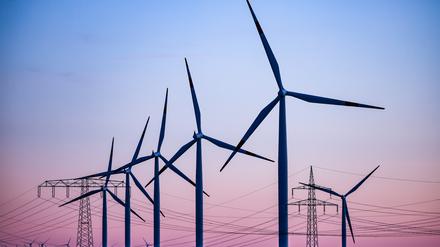 Windkraftanlagen und Hochspannungsleitungen sind vor dem Abendhimmel zu sehen.