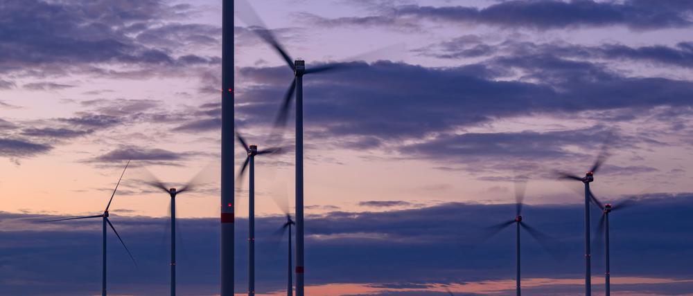 Die Zahl der Windenergieanlagen in Brandenburg ist im vergangenen Jahr noch einmal deutlich gestiegen. (Archivbild)