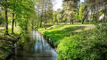 27 Kilometer ist sie lang und fließt von Barnim in Bernau bis in die Mündung der Spree: die Panke.