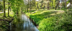 27 Kilometer ist sie lang und fließt von Barnim in Bernau bis in die Mündung der Spree: die Panke.