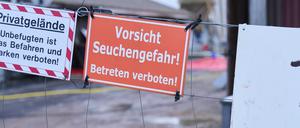 Zum Schutz vor einer möglichen Ausbreitung der Maul- und Klauenseuche wurden rund 200 Schweine im brandenburgischen Landkreis Barnim getötet.