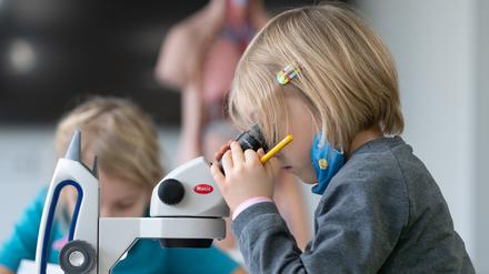 So könnte es auch in Potsdam werden: Grundschüler der Universitätsschule Dresden arbeiten während einer Projektwoche zum Thema Naturkunde an Mikroskopen. 