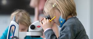 So könnte es auch in Potsdam werden: Grundschüler der Universitätsschule Dresden arbeiten während einer Projektwoche zum Thema Naturkunde an Mikroskopen. 