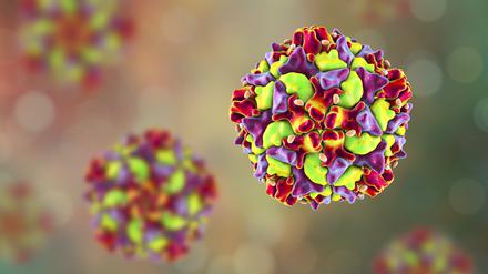 Das Poliovirus in einer computergenerierten Illustration.