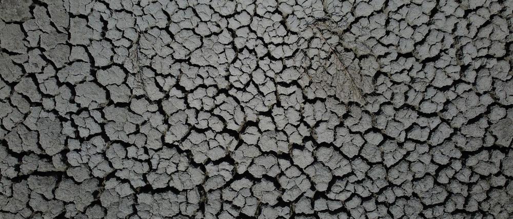 Klimawandelbedingte extreme Dürren haben zwischen 2000 und 2002 zu einer Umverteilung des Wassers vom Land in die Ozeane geführt.