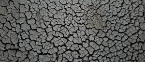 Klimawandelbedingte extreme Dürren haben zwischen 2000 und 2002 zu einer Umverteilung des Wassers vom Land in die Ozeane geführt. 