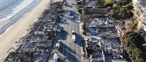 Die sterblichen Überreste wurden demnach in den Brandzonen des „Palisades“-Feuer am Westrand von Los Angeles gefunden.