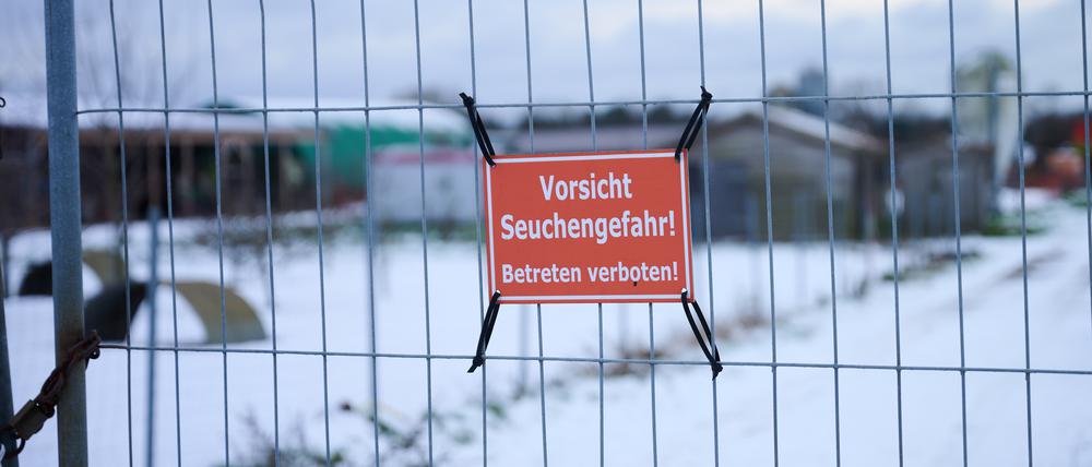„Vorsicht Seuchengefahr!“ steht auf einem Schild an einem Betrieb in Mehrow. Zum Schutz vor einer möglichen Ausbreitung der Maul- und Klauenseuche wurden vorsorglich rund 200 Schweine im brandenburgischen Landkreis Barnim getötet. 