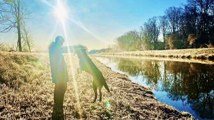 Was ich als Hundebesitzerin hätte wissen müssen