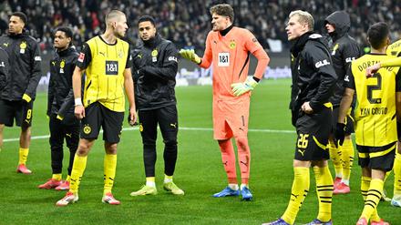 Hadern vor der Kurve: Abwehrspieler Waldemar Anton und Torhüter Gregor Kobel (M).