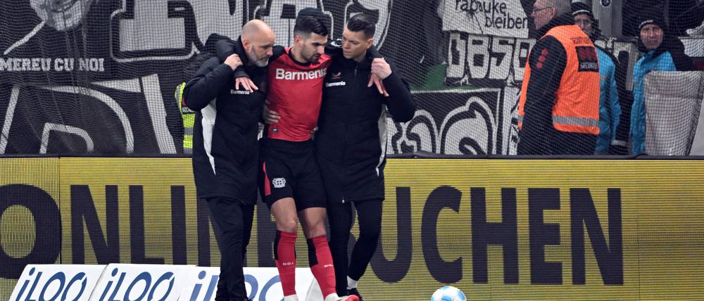 Bayers Terrier verletzte sich früh.