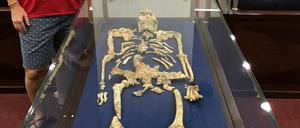 Geochemikerin Tina Lüdecke steht neben „Little Foot“, einem bemerkenswert gut erhaltenen Skelett des Australopithecus, das in den Sterkfontein-Höhlen entdeckt wurde und als das vollständigste Skelett eines Vormenschen gilt, das je gefunden wurde. In ihrer Forschung arbeiten Lüdecke und ihr Team jedoch hauptsächlich mit isolierten versteinerten Zahnfragmenten. Eine neue Studie untersucht die Essgewohnheiten des Vormenschen Australopithecus und kommt zum Schluss, dass Fleisch, wenn überhaupt, nur sehr selten auf der Speisekarte stand.