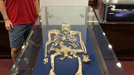 Geochemikerin Tina Lüdecke steht neben "Little Foot“, einem bemerkenswert gut erhaltenen Skelett des Australopithecus.