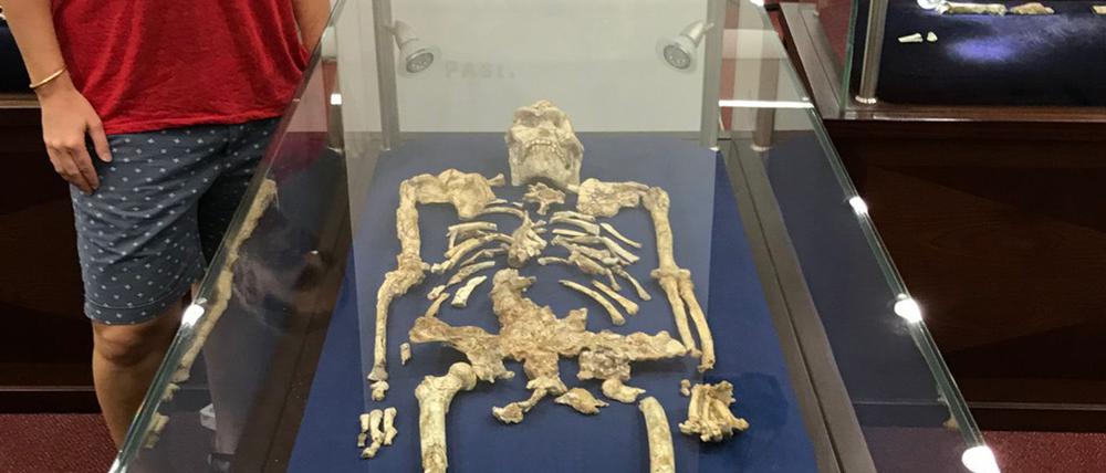 Geochemikerin Tina Lüdecke steht neben "Little Foot“, einem bemerkenswert gut erhaltenen Skelett des Australopithecus.